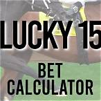 at the races bet calculator